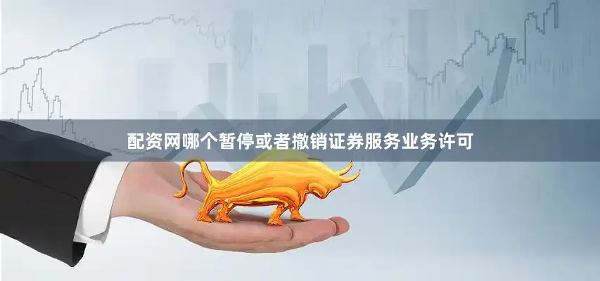 配资网哪个暂停或者撤销证券服务业务许可